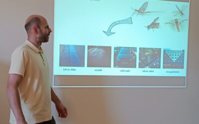 MTA ALUMNI előadás a Hőgyesben – Dr. Egri Ádám – A rovarok látórendszere, vizuális ökológia – 2024. június 4.