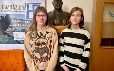 Szép eredmények a nyelvÉSZ vármegyei fordulóján